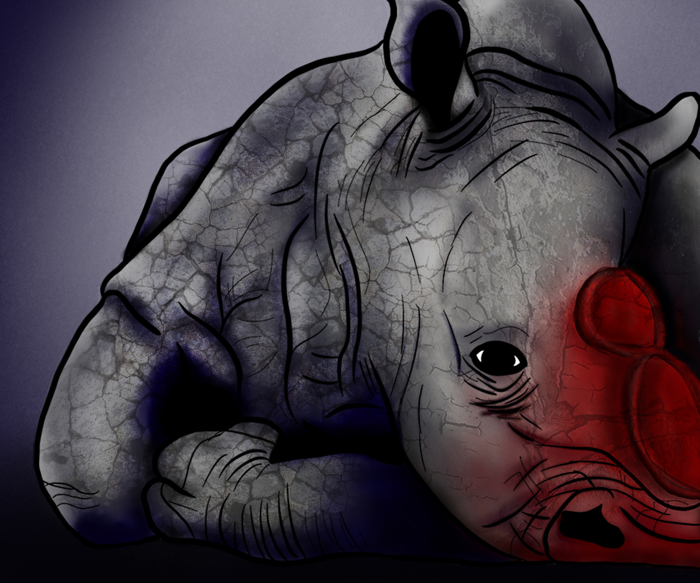 Rhino3