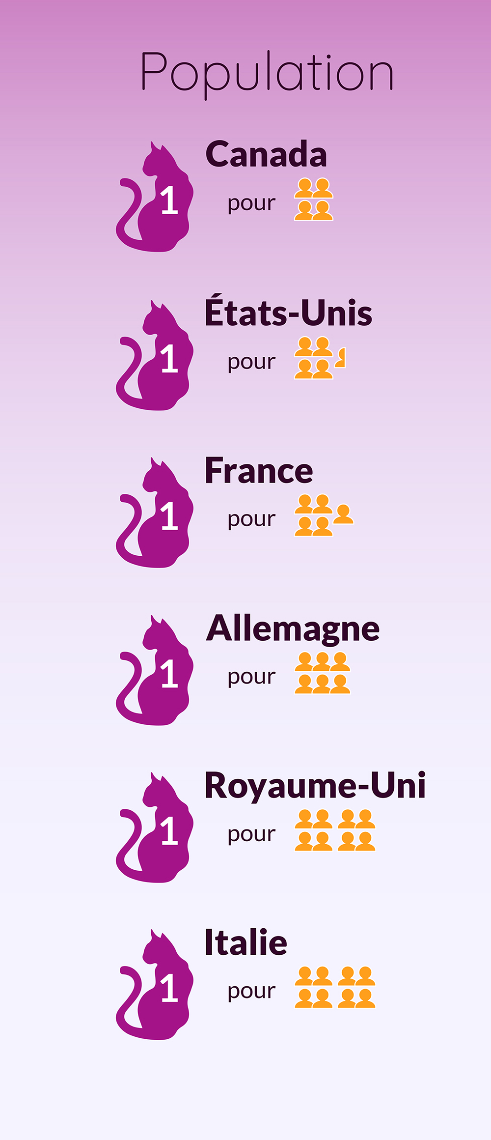 Document infographique – chats  Noémie Comeau graphiste