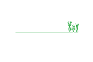Un logo visuellement attrayant pour Solution Gourmande, mélangeant des éléments de design
